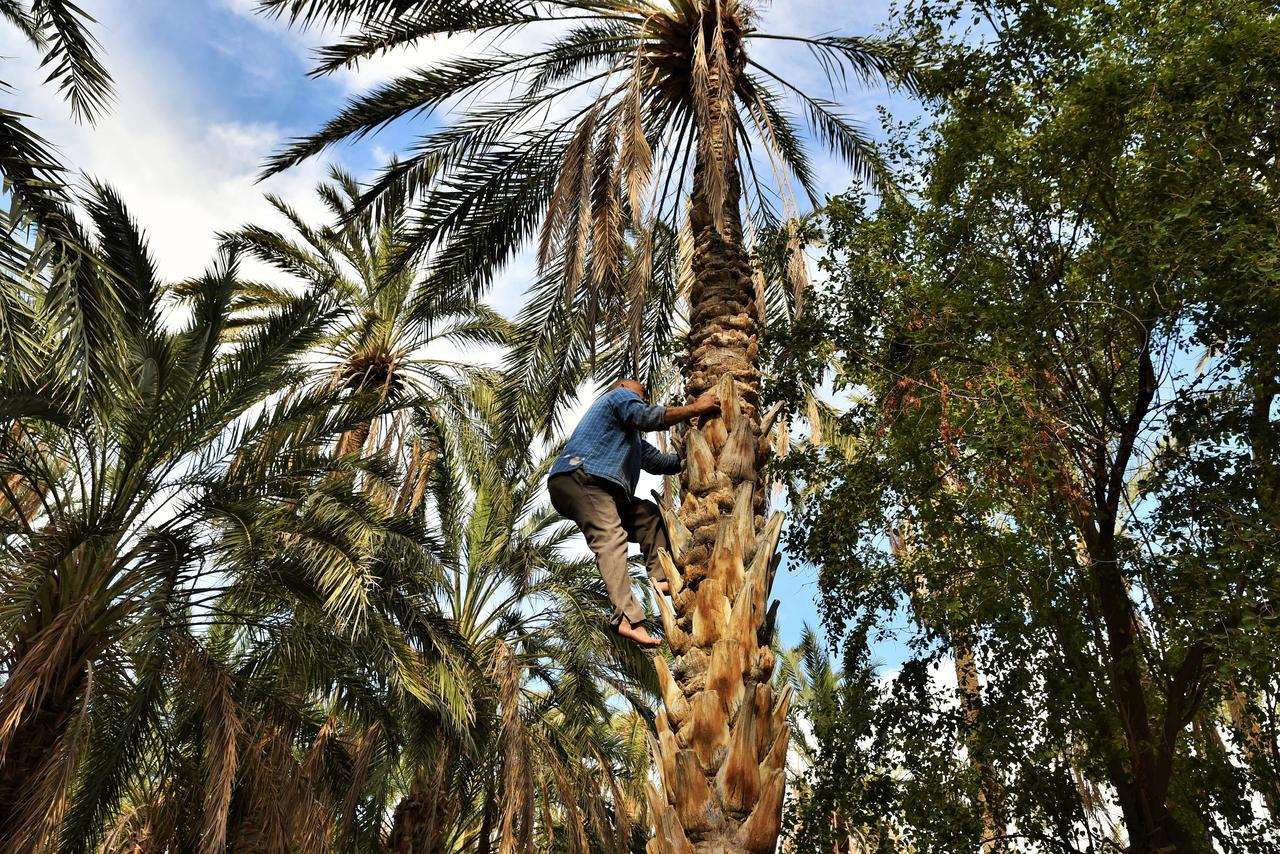 Dar Ezzahra Villa Tozeur Luaran gambar