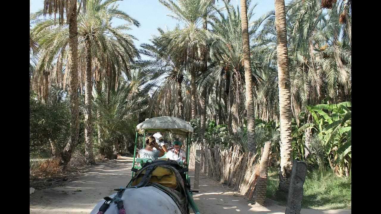 Dar Ezzahra Villa Tozeur Luaran gambar